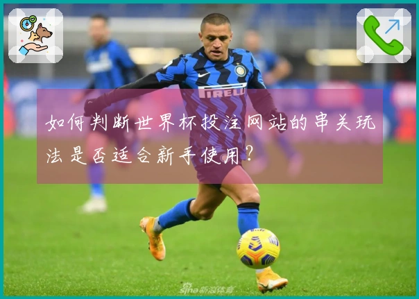 如何判断世界杯投注网站的串关玩法是否适合新手使用？
