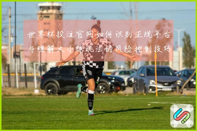 世界杯投注官网如何识别正规平台与理解大小球玩法的风险控制技巧