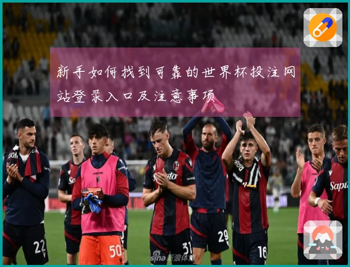 新手如何找到可靠的世界杯投注网站登录入口及注意事项
