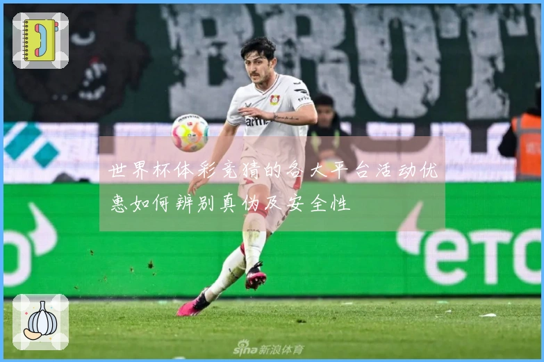 世界杯体彩竞猜的各大平台活动优惠如何辨别真伪及安全性