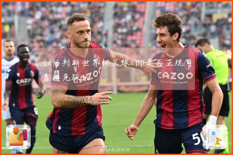 如何判断世界杯买球app是否正规可靠避免踩坑
