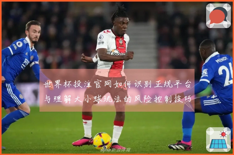 世界杯投注官网如何识别正规平台与理解大小球玩法的风险控制技巧