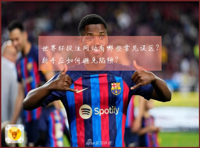 世界杯投注网站有哪些常见误区？新手应如何避免陷阱？