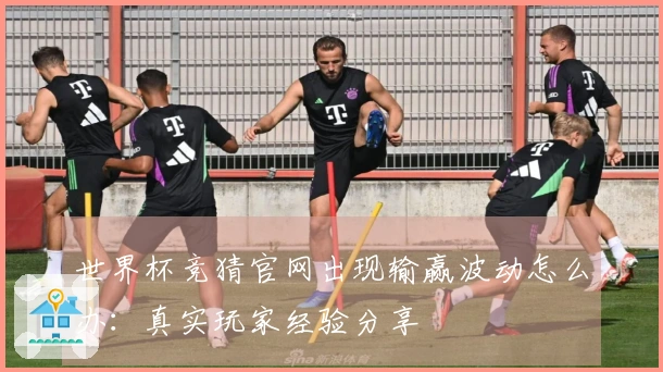 世界杯竞猜官网出现输赢波动怎么办：真实玩家经验分享
