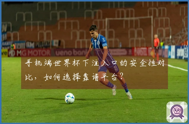 手机端世界杯下注入口的安全性对比，如何选择靠谱平台？