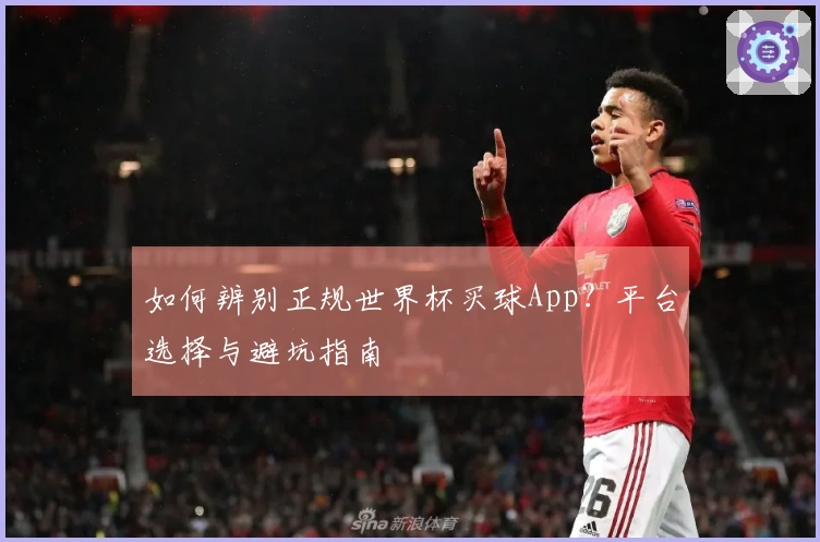 如何辨别正规世界杯买球App？平台选择与避坑指南
