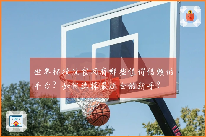 世界杯投注官网有哪些值得信赖的平台？如何选择最适合的新手？