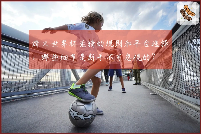 烽火世界杯竞猜的规则和平台选择，哪些细节是新手不可忽视的？