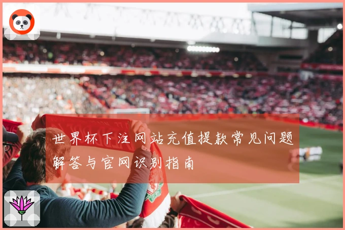 世界杯下注网站充值提款常见问题解答与官网识别指南