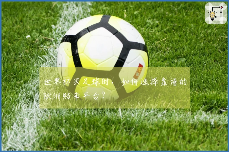 世界杯买足球时，如何选择靠谱的欧洲赔率平台？