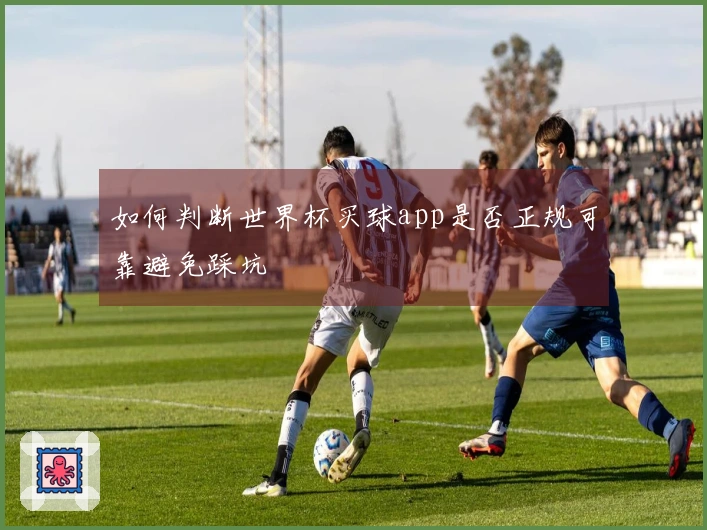 如何判断世界杯买球app是否正规可靠避免踩坑