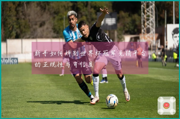 新手如何辨别世界杯冠军竞猜平台的正规性与可信度