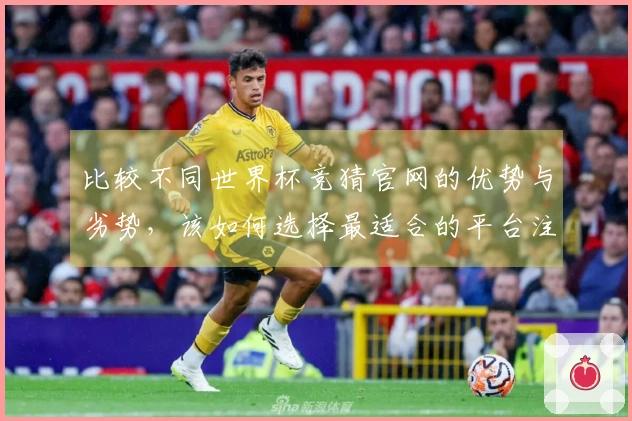 比较不同世界杯竞猜官网的优势与劣势，该如何选择最适合的平台注册投注