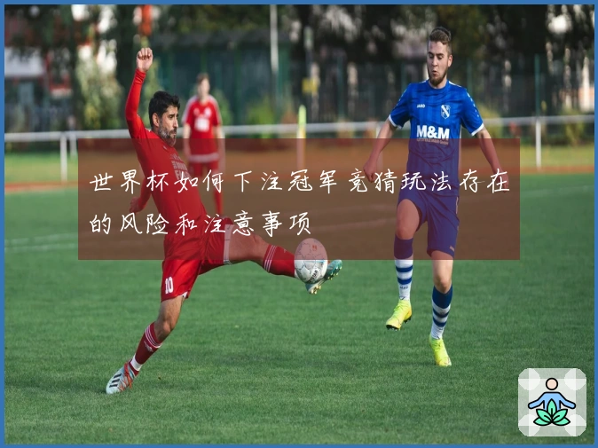 世界杯如何下注冠军竞猜玩法存在的风险和注意事项