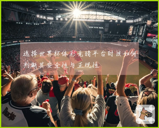 选择世界杯体彩竞猜平台时该如何判断其安全性与正规性