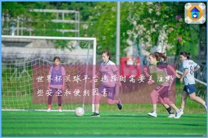 世界杯买球平台选择时需要关注哪些安全和便利因素