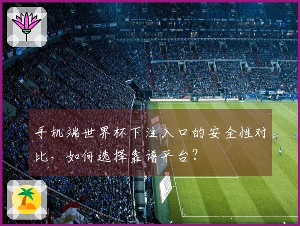 手机端世界杯下注入口的安全性对比,如何选择靠谱平台?