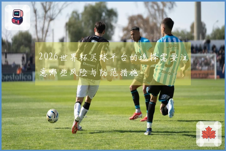 2026世界杯买球平台的选择需要注意哪些风险与防范措施