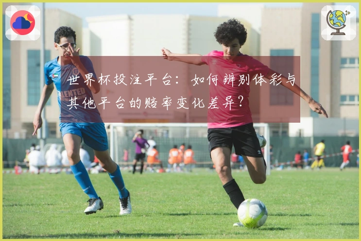 世界杯投注平台：如何辨别体彩与其他平台的赔率变化差异？