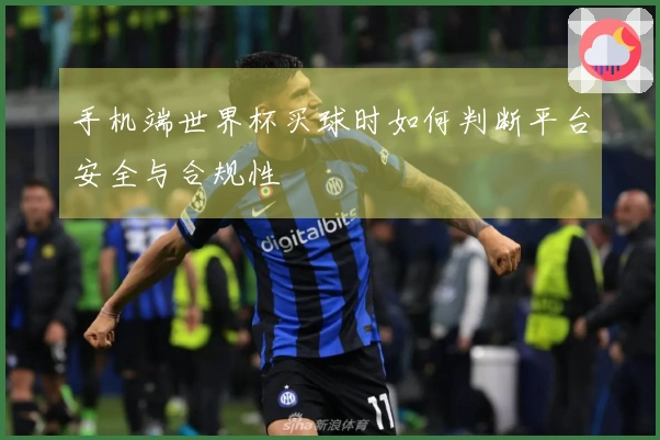 手机端世界杯买球时如何判断平台安全与合规性