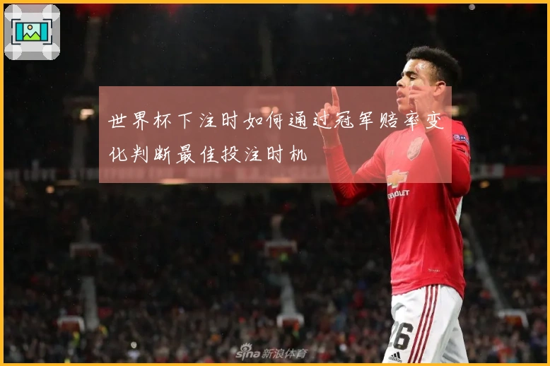 世界杯下注时如何通过冠军赔率变化判断最佳投注时机