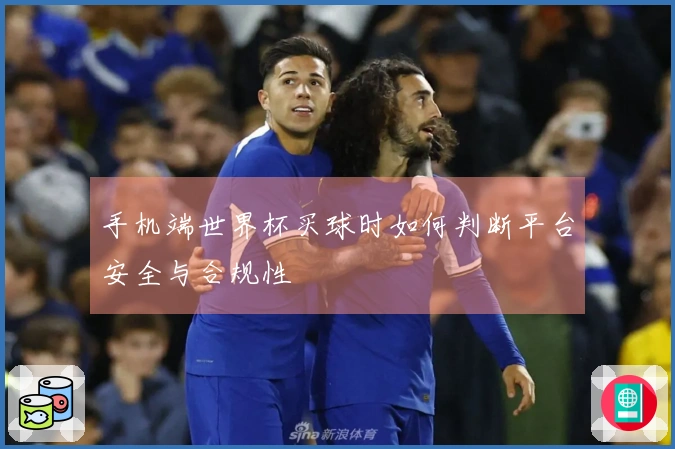 手机端世界杯买球时如何判断平台安全与合规性