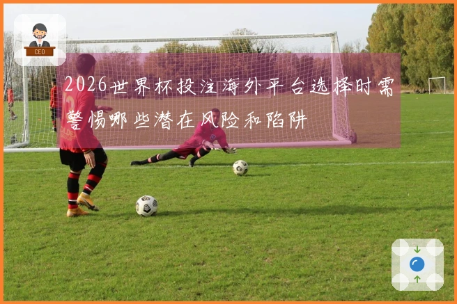 2026世界杯投注海外平台选择时需警惕哪些潜在风险和陷阱