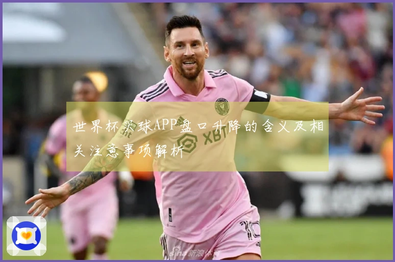 世界杯买球APP盘口升降的含义及相关注意事项解析