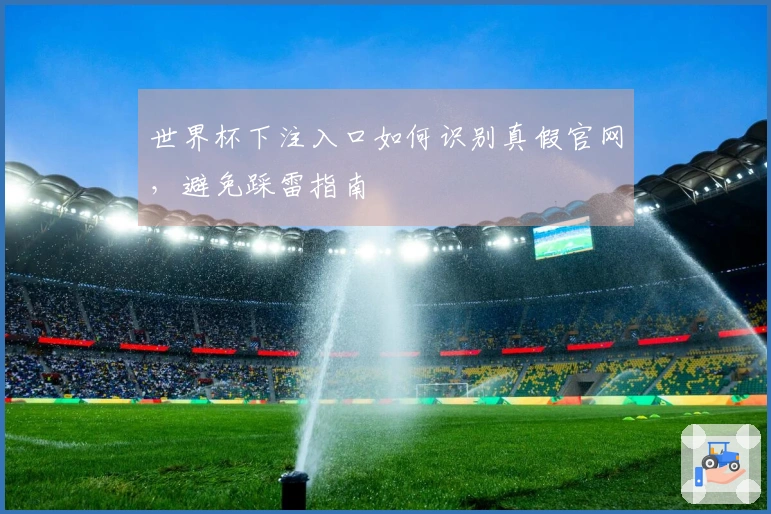 世界杯下注入口如何识别真假官网，避免踩雷指南
