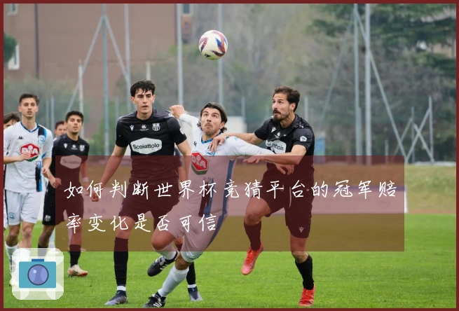 如何判断世界杯竞猜平台的冠军赔率变化是否可信