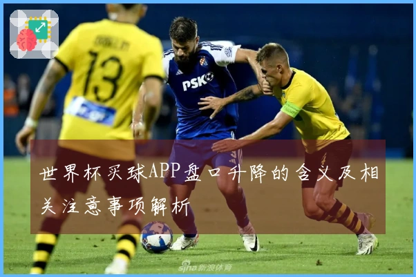 世界杯买球APP盘口升降的含义及相关注意事项解析