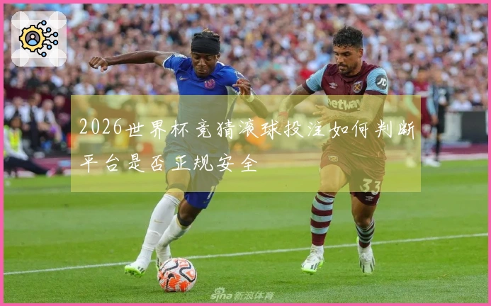 2026世界杯竞猜滚球投注如何判断平台是否正规安全