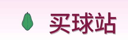买球站 Logo
